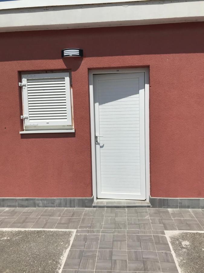 Simoneta *